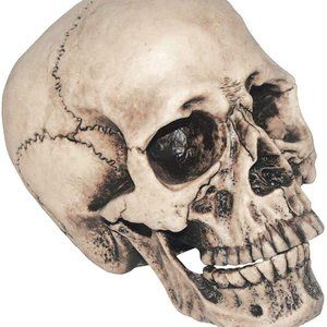 Vinyl Skull Multicoloured One Size